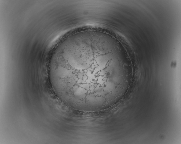 X0000113990776200910021222