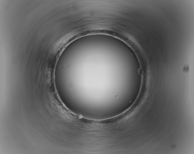 X0000113990777200910021222