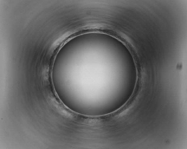 X0000113990778200910021222