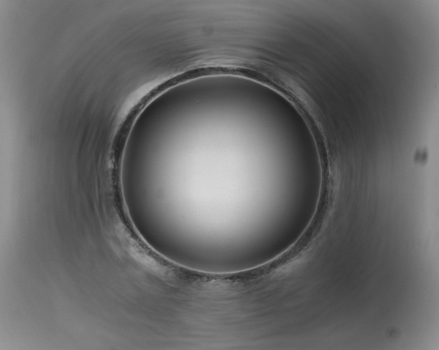 X0000113990779200910021222