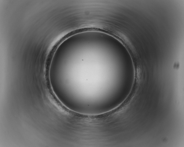 X0000113990780200910021221