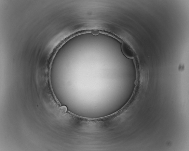 X0000113990781200910021221