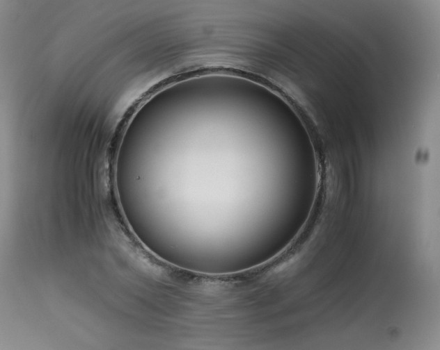 X0000113990782200910021221