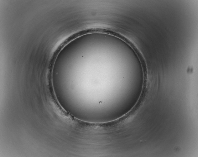 X0000113990783200910021221