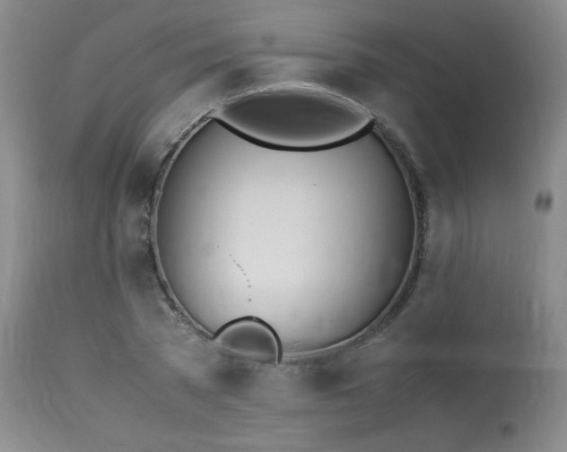 X0000113990785200910021221