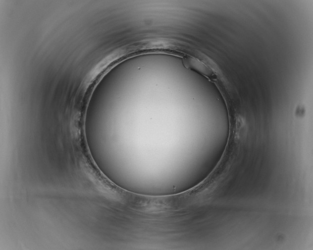 X0000113990786200910021221