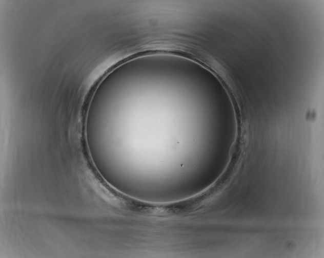 X0000113990787200910021221