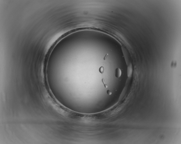 X0000113990788200910021221