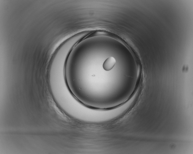 X0000113990789200910021221