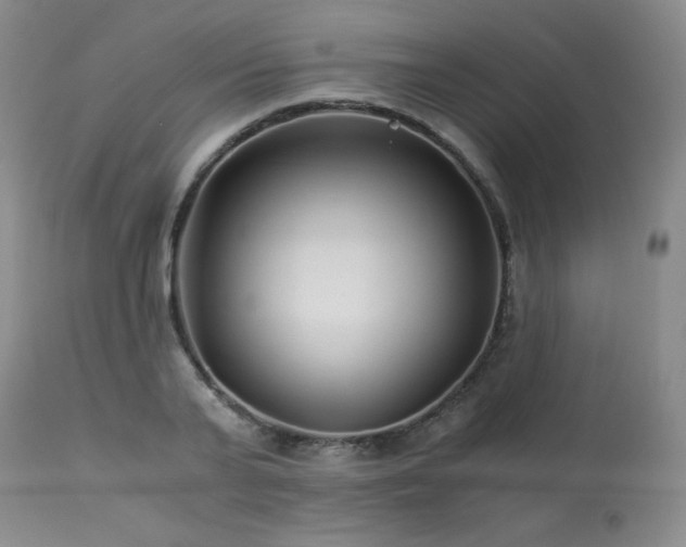 X0000113990791200910021221