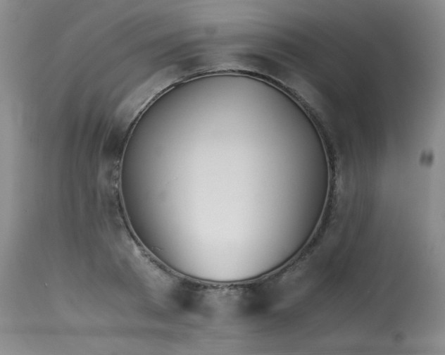 X0000113990793200910021221