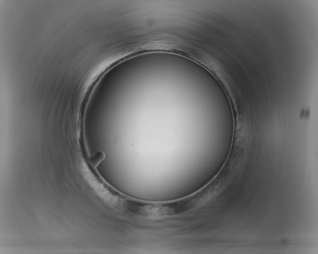 X0000113990795200910021221