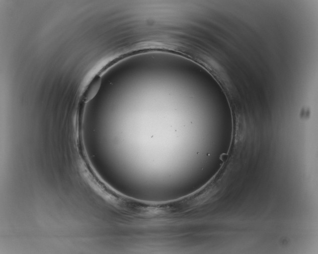 X0000113990796200910021221