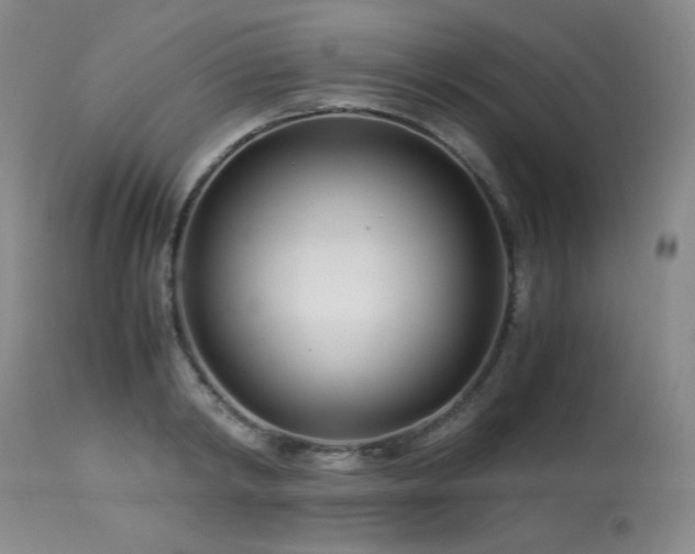 X0000113990798200910021221