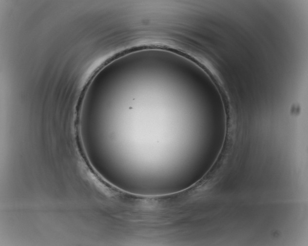 X0000113990799200910021221