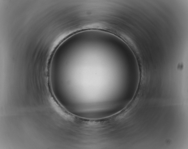 X0000113990800200910021221