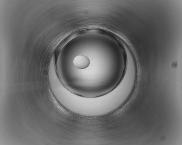 X0000113990801200910021221