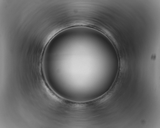 X0000113990802200910021221