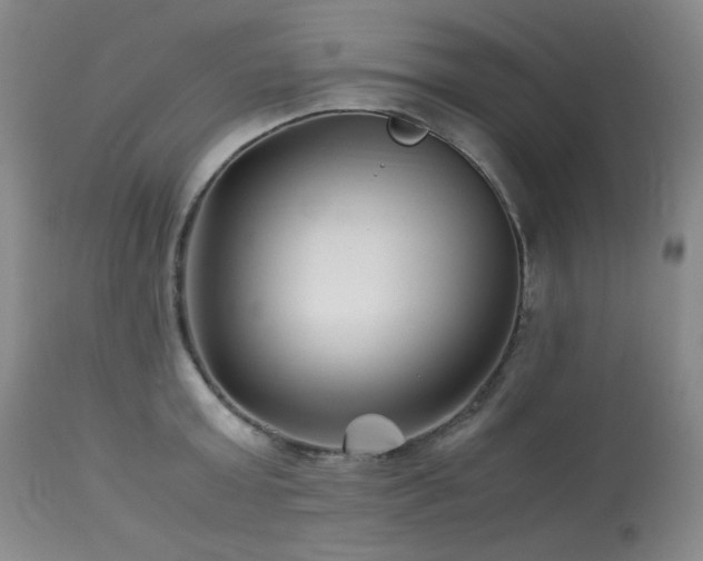 X0000113990803200910021221