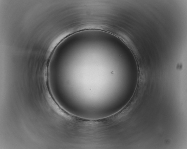 X0000113990804200910021221