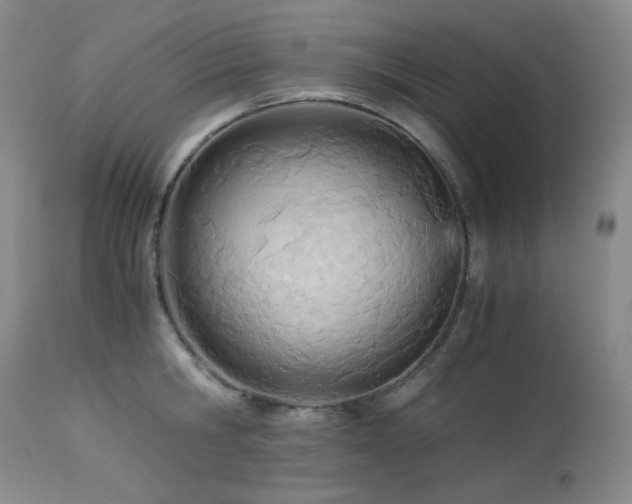 X0000113990806200910021221