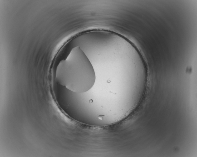 X0000113990807200910021221