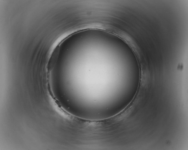 X0000113990808200910021221