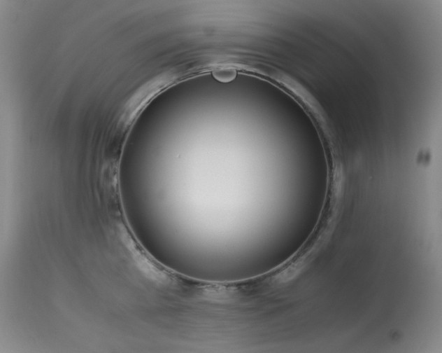 X0000113990809200910021221