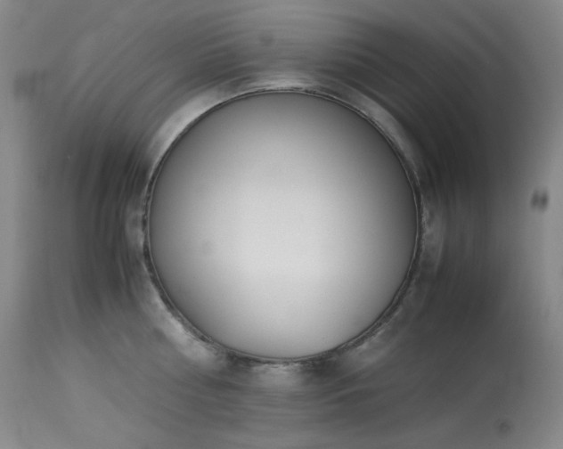 X0000113990810200910021221