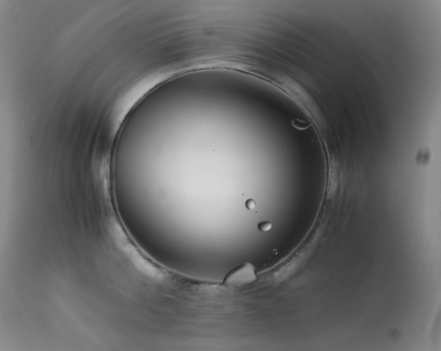 X0000113990812200910021221