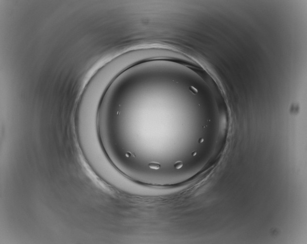 X0000113990813200910021221