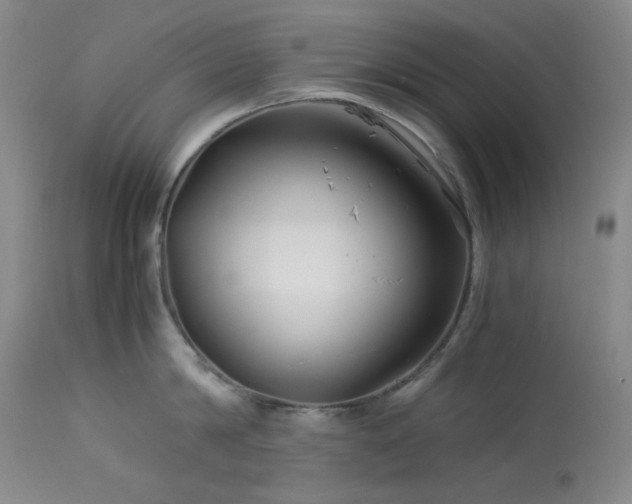 X0000113990814200910021221