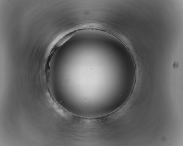 X0000113990816200910021221