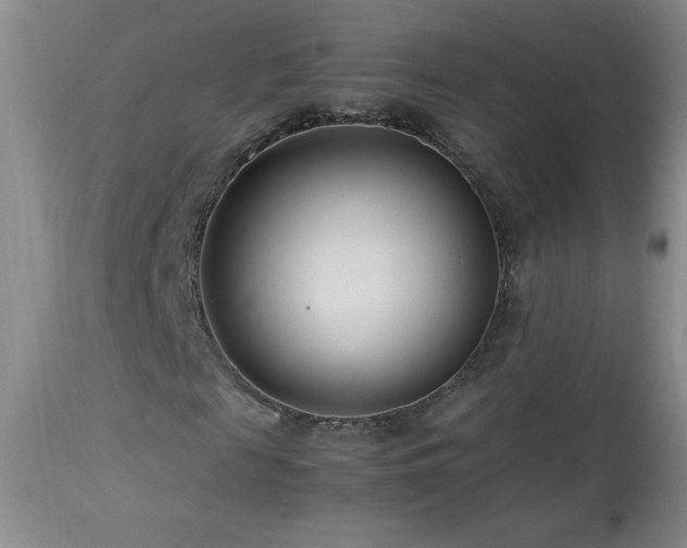 X0000113990817200910021220