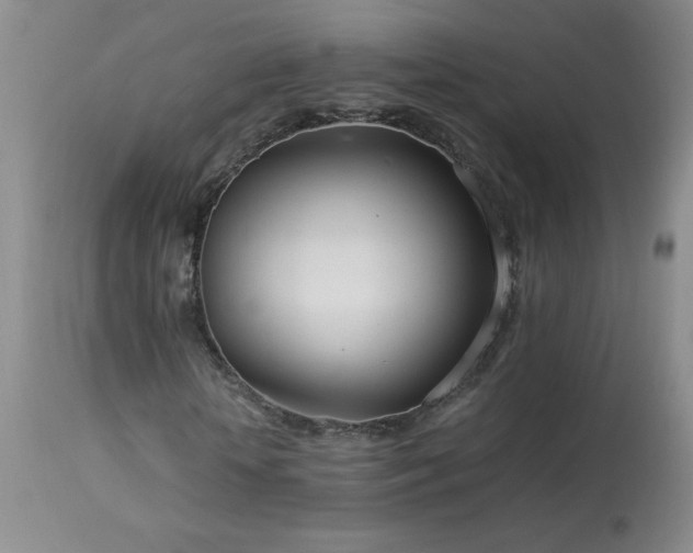 X0000113990818200910021220