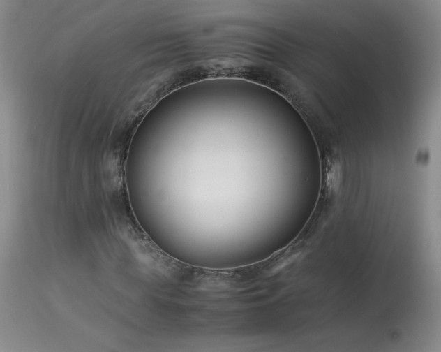 X0000113990819200910021220