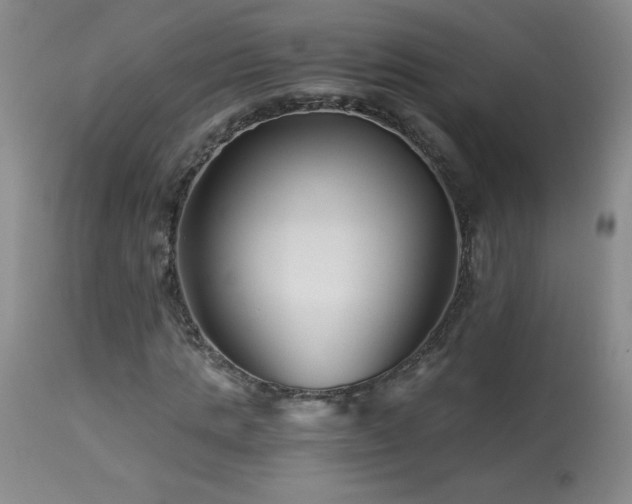 X0000113990821200910021220