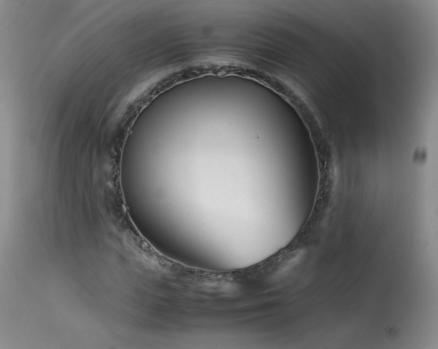 X0000113990823200910021220