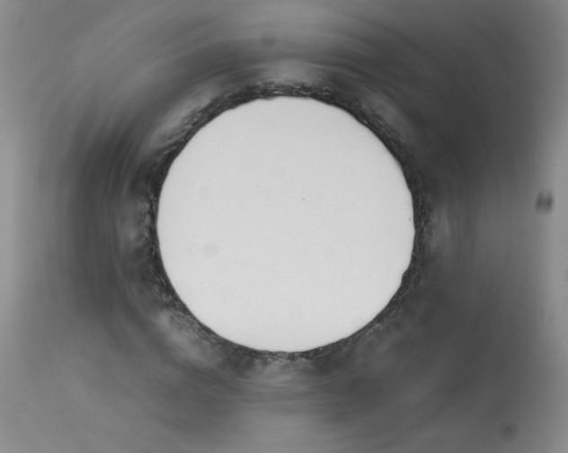 X0000113990824200910021220