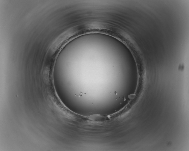 X0000113990825200910021220