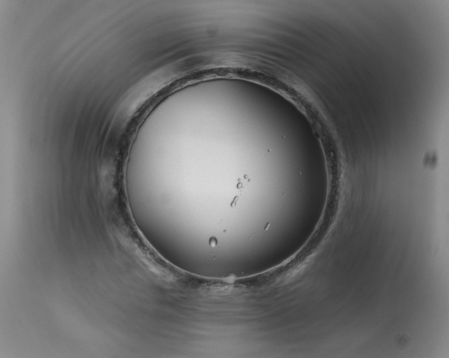 X0000113990826200910021220