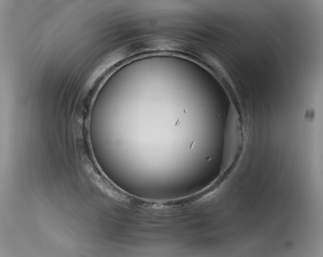 X0000113990827200910021220