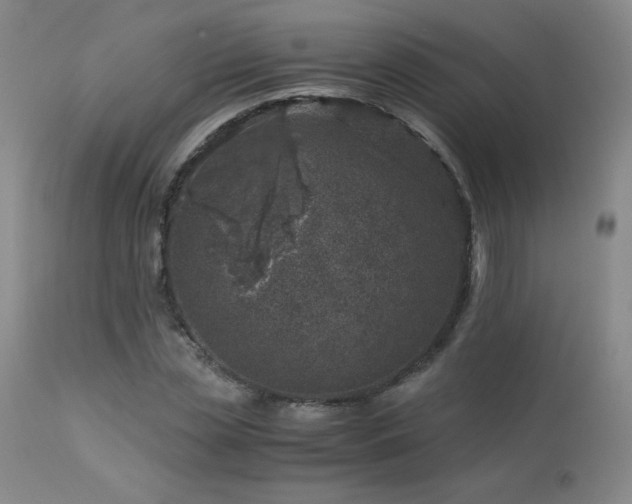 X0000113990829200910021220