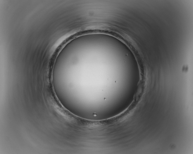 X0000113990830200910021220