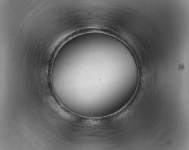 X0000113990831200910021220