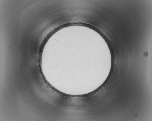 X0000113990832200910021220