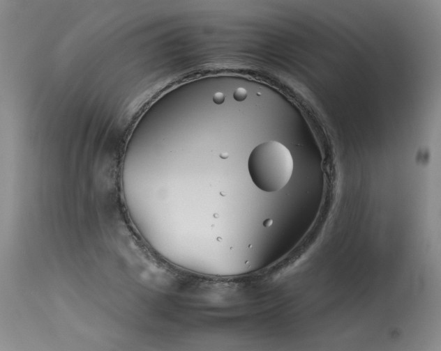 X0000113990833200910021220