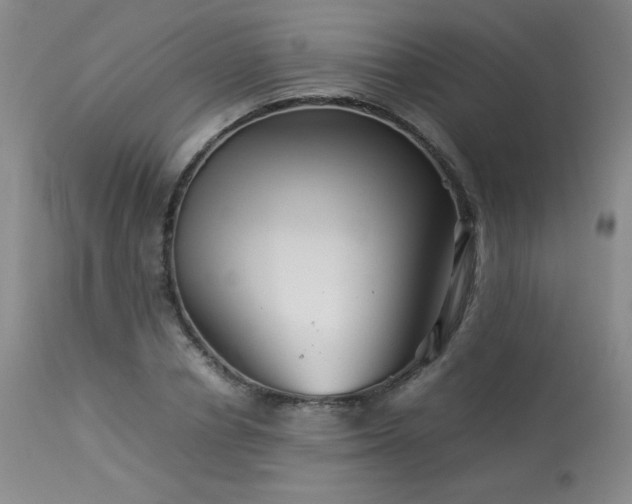 X0000113990834200910021220