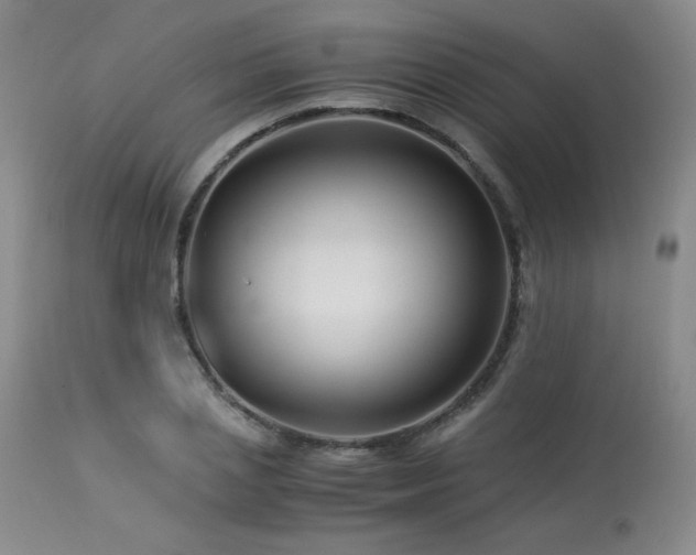 X0000113990837200910021220