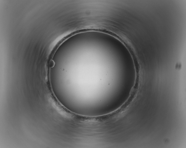 X0000113990838200910021220